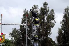 competencia_interna_martires_de_la_compania_2016_12_20170105_1325348838