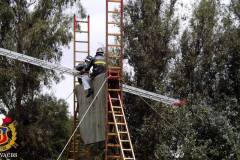 competencia_interna_martires_de_la_compania_2016_13_20170105_1882310716