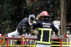 competencia_interna_martires_de_la_compania_2016_15_20170105_1026128320